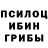 Галлюциногенные грибы прущие грибы Ava mae